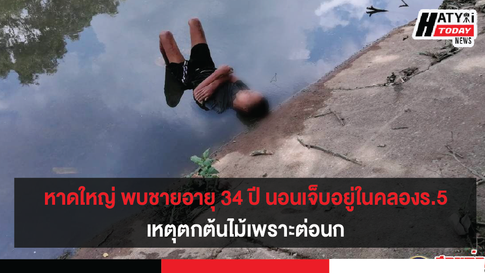 ปกข่าวแบบขนาด เฟสนายก [recovered] 01