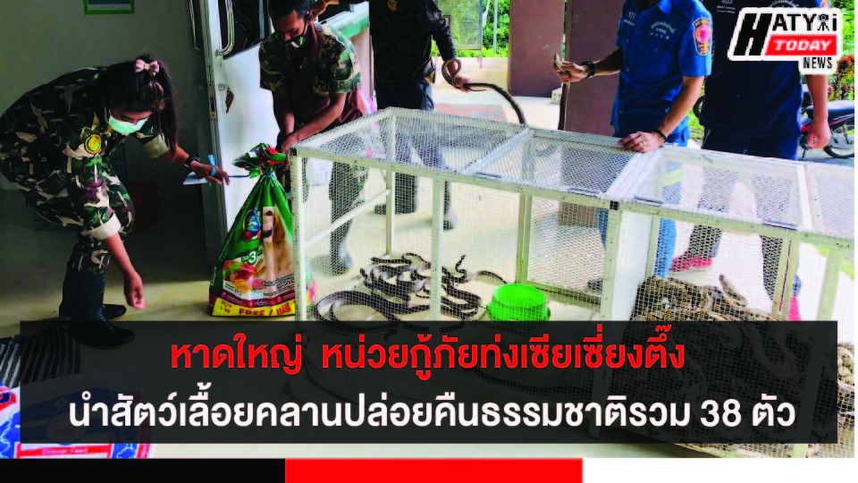 ปกข่าว 01