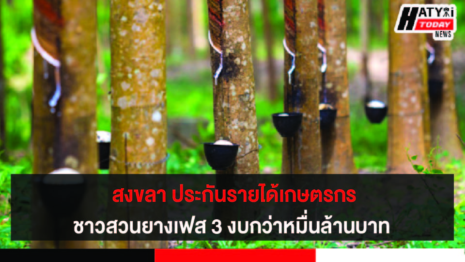 ปกข่าว 01