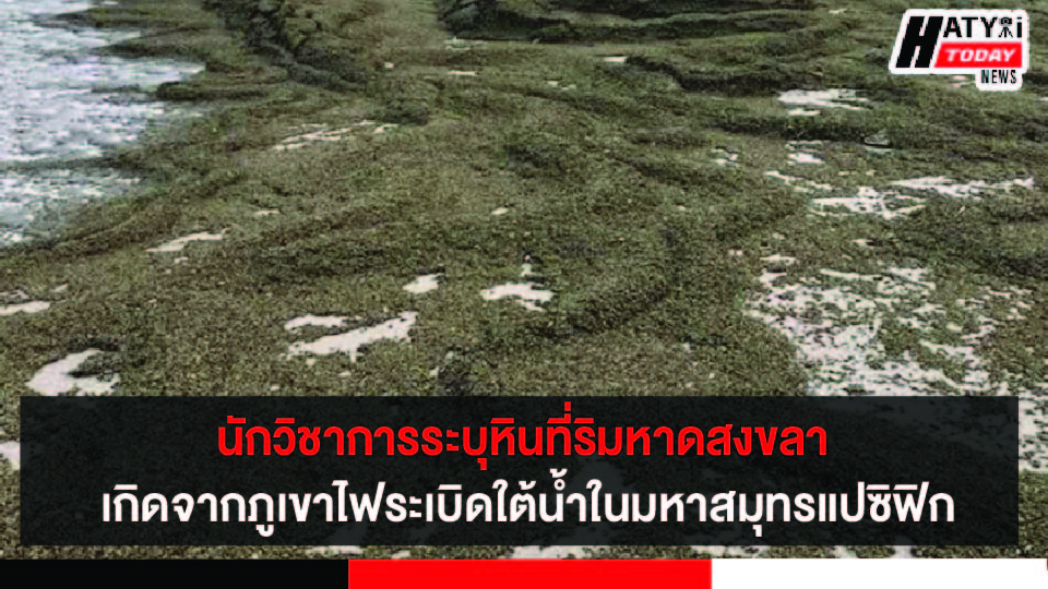 ปกข่าว 01