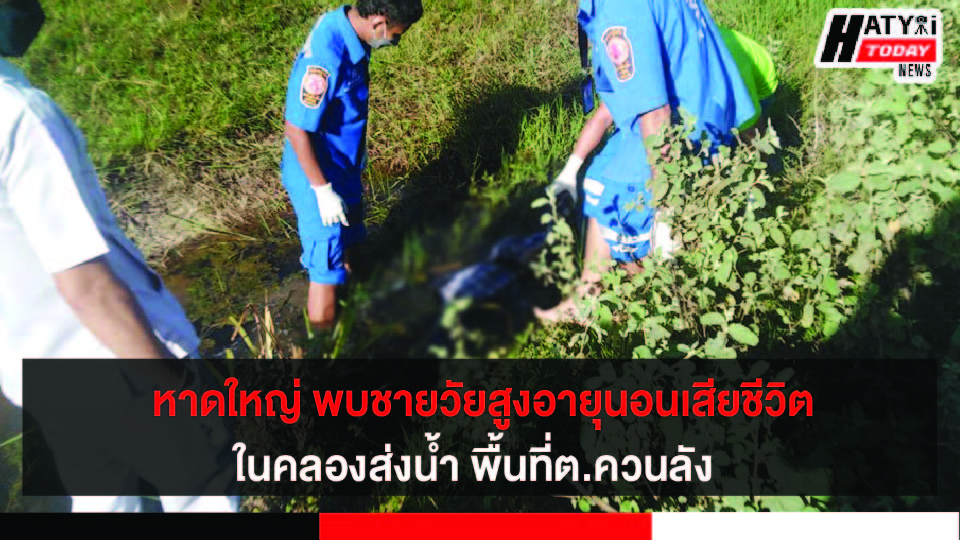 ปกข่าว 01