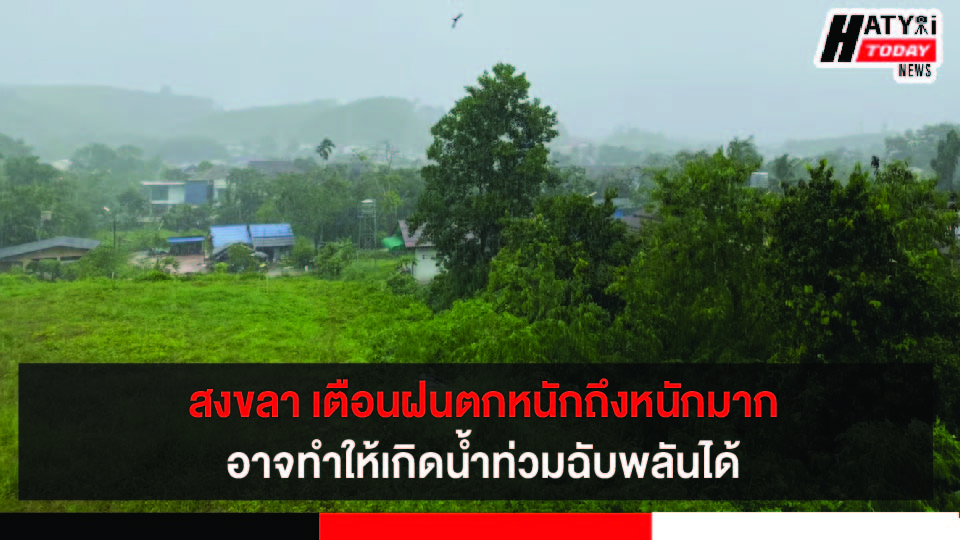 ปกข่าว 01