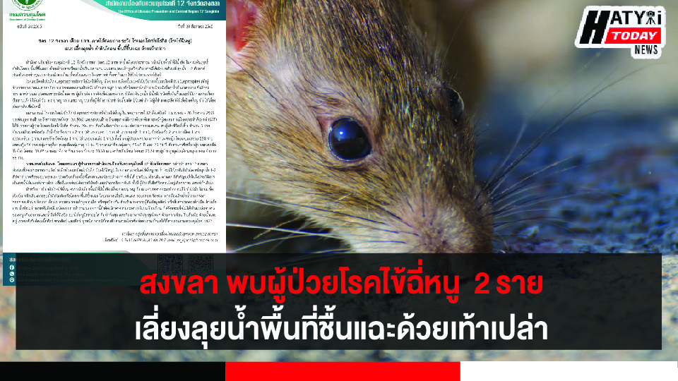 ปกข่าว 01