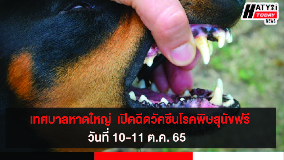 ปกข่าว 01