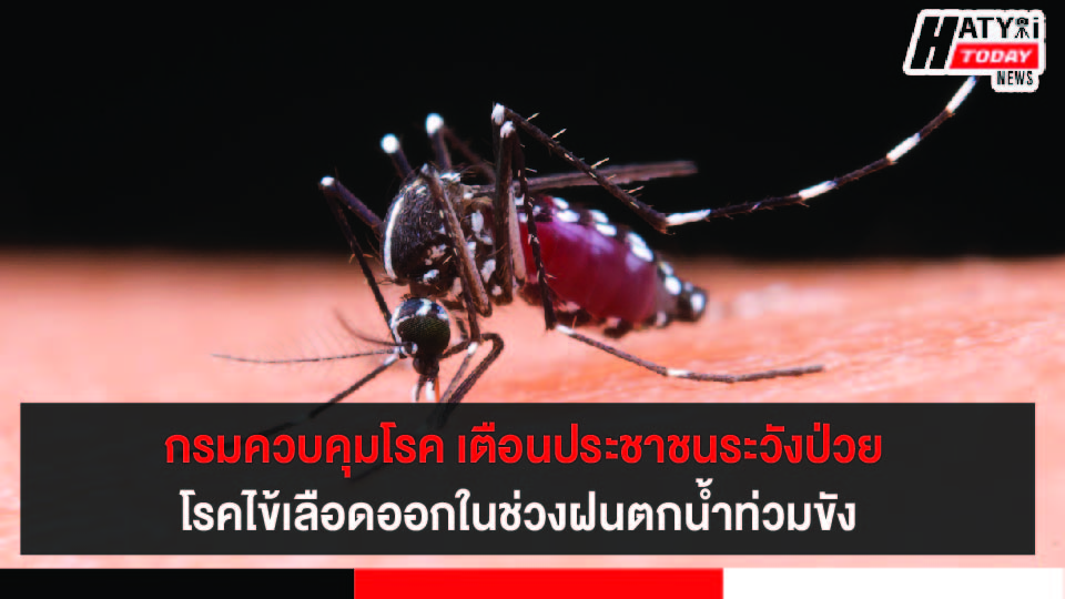 กรมควบคุมโรค เตือนประชาชนระวังป่วยโรคไข้เลือดออกในช่วงฝนตกน้ำท่วมขัง